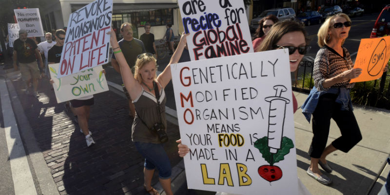 OGM-critiche