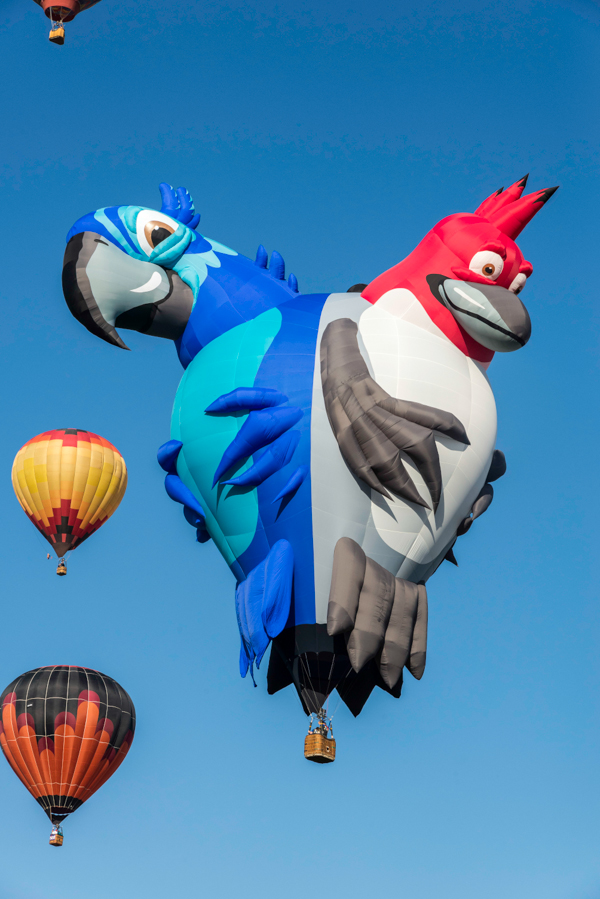 Le bellissime mongolfiere del festival di Albuquerque Le bellissime mongolfiere del festival di Albuquerque