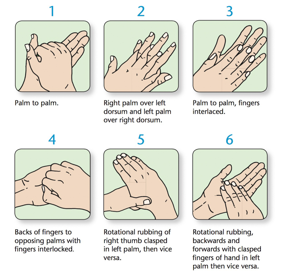 Il modo migliore per lavarsi le mani, secondo la scienza Il Post