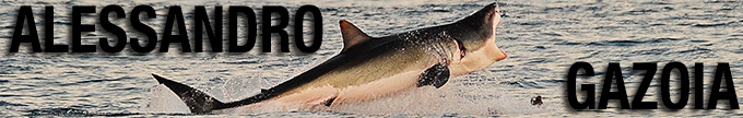 Alessandro Gazoia