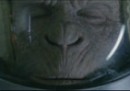 La "Space Monkey" del WWF