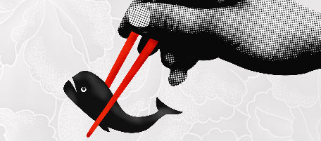 Gli eco-pirati sfidano le baleniere giapponesi