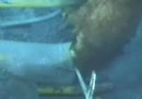 Le riprese sottomarine in diretta della BP