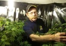 I veterani potranno fare uso di marijuana