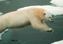 Russia e Norvegia trovano un accordo sulle risorse dell'Artico