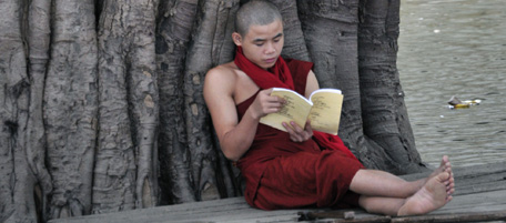 In this photo taken Sunday, Aug. 22, 2010, a Buddhist monk reads a book under a banyan tree in Mandalay, about 600 kms (373 miles) north of Yangon, Myanmar. (AP Photo/Khin Maung Win)