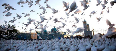 Immagini dell’anno