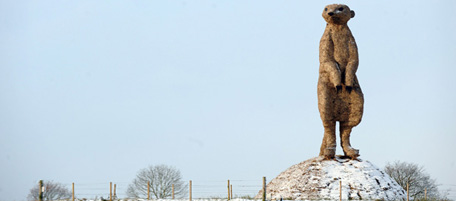 Snow covers the fields surrounding a 36ft high straw meerkat, on display at an ice cream farm near Nantwich, north-west England on December 1, 2010. Britain's transport links with the rest of the world were disrupted by the early winter snowfall as key airports closed Wednesday and international Eurostar train services were cut. The sculpture, which is 30 times bigger than a real-life creature, was built to mark the start of the summer season in July. In previous years similar sized straw replicas of Big Ben and the Millennium Dome have stood on the site. AFP PHOTO/PAUL ELLIS (Photo credit should read PAUL ELLIS/AFP/Getty Images)