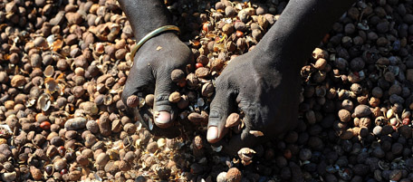 Zimbabwan man dries ground nuts in Pretoria on June 13, 2010 during the 2010 World Cup football tournament in South Africa. The 2010 World Cup continues through July 11 in South Africa. AFP PHOTO/JOE KLAMAR (Photo credit should read JOE KLAMAR/AFP/Getty Images)