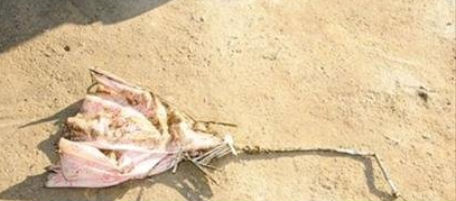 La terribile morte di Qian Yunhui