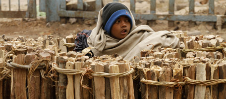 A child sits wrapped in warm clothing as he sells firewood on a cold winter morning in Allahabad, India, Friday, Jan. 7, 2011. Near-freezing temperatures and icy Himalayan winds have killed dozens of people in northern India over the past two weeks and forced schools to close in the capital, officials said Wednesday. Beggars and impoverished migrant workers often sleep in the open, with only plastic sheets or jute cloth sacks for cover. (AP Photo/Rajesh Kumar Singh)