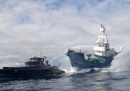 Il Giappone sospende la caccia alle balene