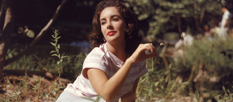 British-born actor Elizabeth Taylor sits in a field and twirls a blade of grass in her right hand, circa 1950s. (Photo by Hulton Archive/Getty Images)