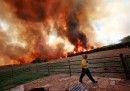 Gli incendi in Texas (foto)