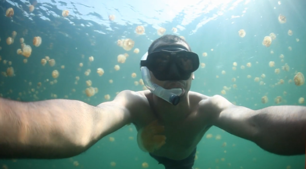 Il lago delle meduse