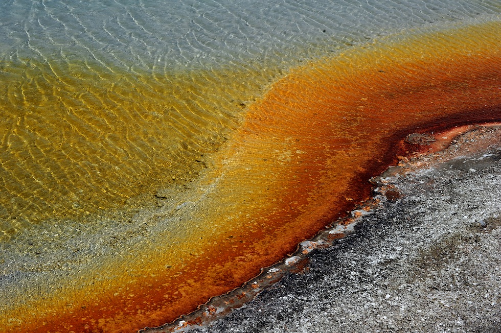 La sorgente calda 'Sunset Lake' nel Parco nazionale di Yellowstone, 1 giugno 2011. I suoi colori particolari sono causati dalla presenza di batteri termofili, che sopravvivono a temperature molte elevate. (MARK RALSTON/AFP/Getty Images)