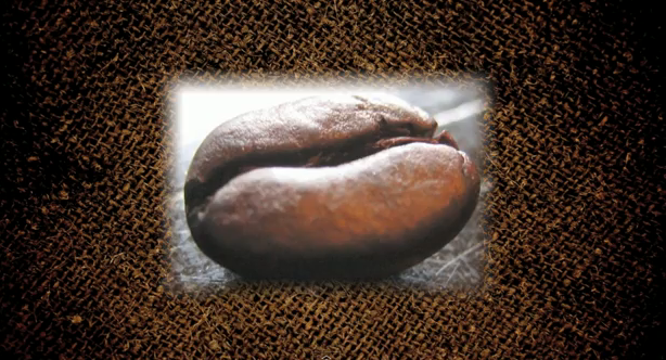 Tutto quello che dovreste sapere sul caffé