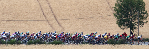 CARMAUX, FRANCE - JULY 12: The peloton passes through a field during Stage 10 of the 2011 Tour de France from Aurillac to Carmaux on July 12, 2011 in Carmaux, France. (Photo by Michael Steele/Getty Images)