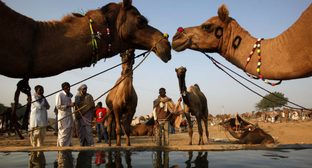 (AP Photo/Manish Swarup)
