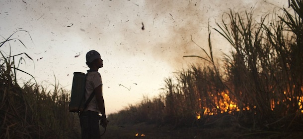 In this picture taken on Friday Nov. 25, 2011, a worker watches the controlled burning of a sugar cane field before cutting it near Retalhuleu, Guatemala. Sugar is Guatemala&#8217;s most important agricultural export, making Guatemala the fifth largest sugar exporter in the world. The industry employs around 350,000 people, with people migrating from all parts of Guatemala, during the harvest season from October to March. Sugar cane workers earn around 60 quetzales per day, around $8 US dollars. (AP Photo/Rodrigo Abd)
