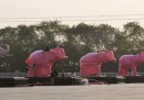 Le foto delle statue degli elefanti coperte in Uttar Pradesh