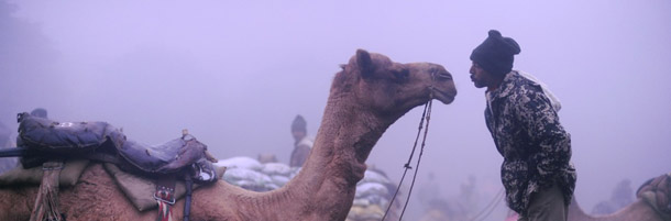 A member of the Border Security Force (BSF) camel contingent speaks to a camel as they wait to take part in a rehearsal of the Republic Day parade in New Delhi on January 18, 2012. India will celebrate its 63rd Republic Day on January 26 with a large military parade. AFP PHOTO / ROBERTO SCHMIDT (Photo credit should read ROBERTO SCHMIDT/AFP/Getty Images)