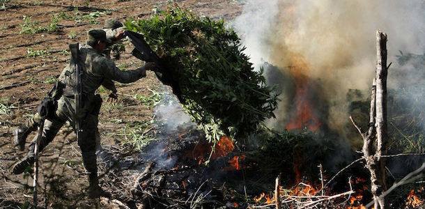 Soldiers incinerate marijuana plants at an illegal plantation found during a military operation on Friday at the Culiacan mountains, northern Mexico, Monday, Jan. 30, 2012. The drought in northern Mexico is so bad that it has hurt even illicit drug growers and their normally well-tended crops of marijuana and opium poppies, Gen. Pedro Gurrola, commander of army forces in the state of Sinaloa, said Monday. (AP Photo/Marco Ugarte)