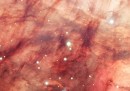 Dentro la nebulosa Omega