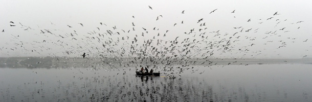 An Indian man feeds flocks of migratory birds in the Yamuna river in New Delhi on January 2, 2012. Hundreds of migratory birds from Siberia, southeast Asia and other parts of India congregate in Indian capital during winters. AFP PHOTO / Prakash SINGH (Photo credit should read PRAKASH SINGH/AFP/Getty Images)