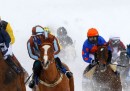 Cavalli nella neve