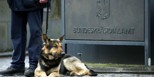 Il nuovo presidente tedesco