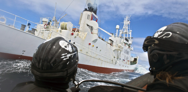 1 gennaio 2012
Alcuni membri di Sea Shepherd cercano di bloccare il peschereccio giapponese Shonan Maru II

(AP Photo/Sea Shepherd Conservation Society)