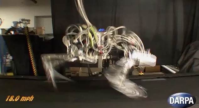 Ghepardo robot