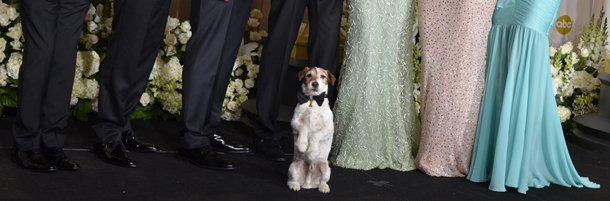 Uggie the dog from winner of Best Picture, "The Artist" poses with cast members in the press room at the 84th Annual Academy Awards on February 26, 2012 in Hollywood, California. AFP PHOTO JOE KLAMAR (Photo credit should read JOE KLAMAR/AFP/Getty Images)