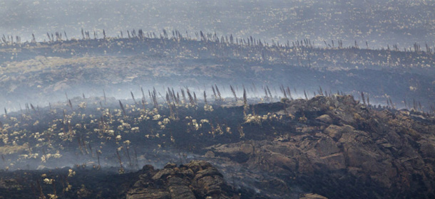 Gli incendi sul monte Kenya