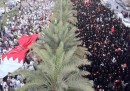 La foto della manifestazione di oggi in Bahrein, uomini e donne separati
