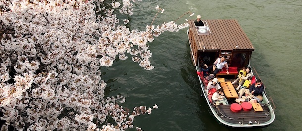 OSAKA, JAPAN - APRIL 09: People travel on a boat under cherry blossoms at Sakuranomiya Park on April 9, 2012 in Osaka, Japan. (Photo by Buddhika Weerasinghe/Getty Images)