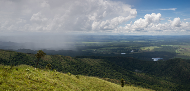 La legge sulle foreste in Brasile