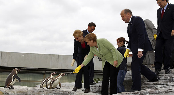 (LtoR) Danish Prime Minister Helle Thorning-Schmidt, German Chancellor Angela Merkel, Lithuania's Prime Minister Andrius Kubilius and European Commission President Jose Manuel Barroso feed penguins at the Oceaneum during the Baltic Sea States Council summit in Stralsund on May 31, 2012. German Chancellor Angela Merkel and heads of government from 11 countries on the Baltic Sea meet from May 30 to 31, 2012 to discuss energy and demographic issues. The Council of the Baltic Sea States is an overall political forum for regional inter-governmental cooperation.
AFP PHOTO / POOL / JENS KOEHLER (Photo credit should read JENS KOEHLER/AFP/GettyImages)