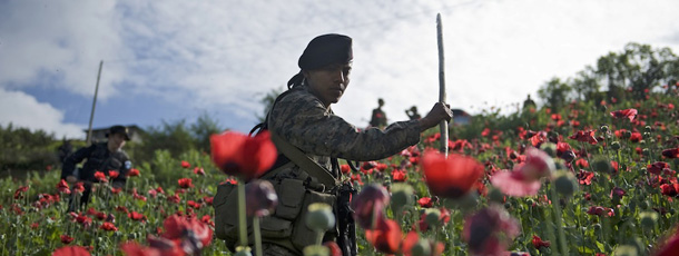 A soldier takes part in an operation to destroy a poppy plantation in Tuinima village, Tajumulco nunicipality, San Marcos departament, 315 km northeast of Guatemala City, near the border with Mexico, on May 23, 2011. AFP PHOTO Johan ORDONEZ (Photo credit should read JOHAN ORDONEZ/AFP/GettyImages)