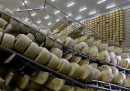 Gli effetti del terremoto su una fabbrica di parmigiano