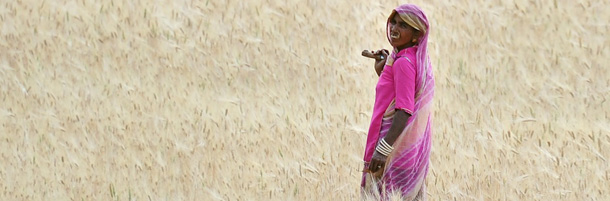 This picture shows a woman working in a field on April 21, 2012 near Udaipur. AFP PHOTO / GABRIEL BOUYS (Photo credit should read GABRIEL BOUYS/AFP/GettyImages)