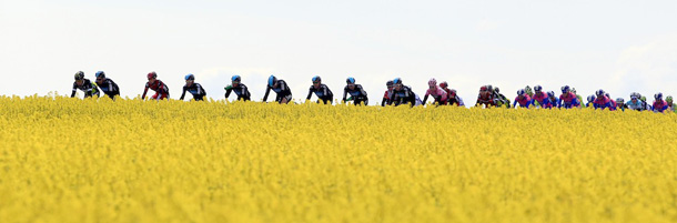 THe pack rides on May 7, 2012 during the third stage of the Giro d'Italia around Horsens, Denmark. AFP PHOTO /LUK BENIES (Photo credit should read LUK BENIES/AFP/GettyImages)