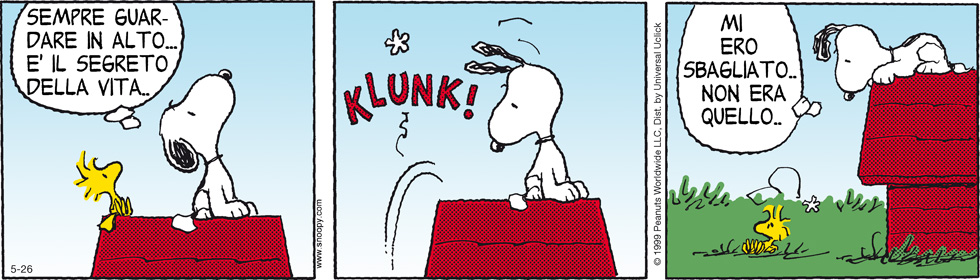 Peanuts 2012 maggio 26