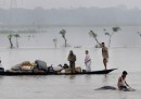 Le foto delle alluvioni ad Assam