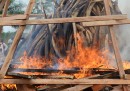 L'avorio bruciato in Gabon