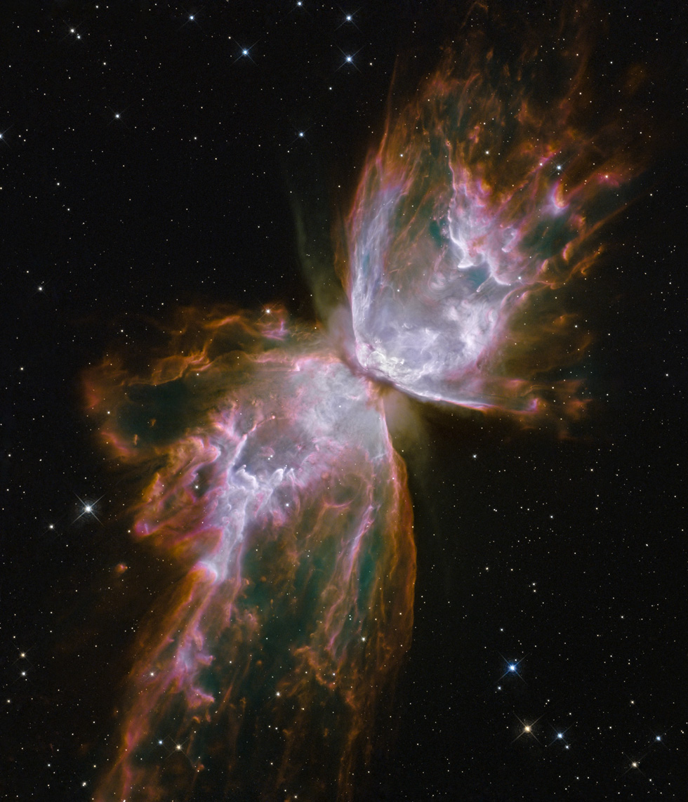 Nebulosa Farfalla / 1
