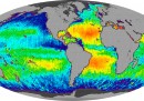 Dove sono più salati gli oceani?