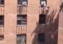 La bambina salvata mentre cade dal terzo piano a Brooklyn