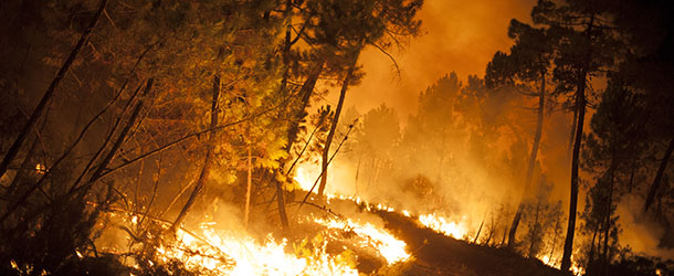 A wildfire blazes in Torneros de Jamuz near Leon on August 20, 2012. Numerous wildfires have broken out across Spain in the sweltering heat in recent weeks, an extra headache for authorities struggling to get the country out of its financial crisis and recession.
AFP PHOTO/Pedro ARMESTRE (Photo credit should read PEDRO ARMESTRE/AFP/GettyImages)
